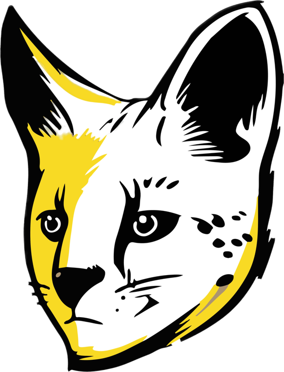 Serval Wildlife