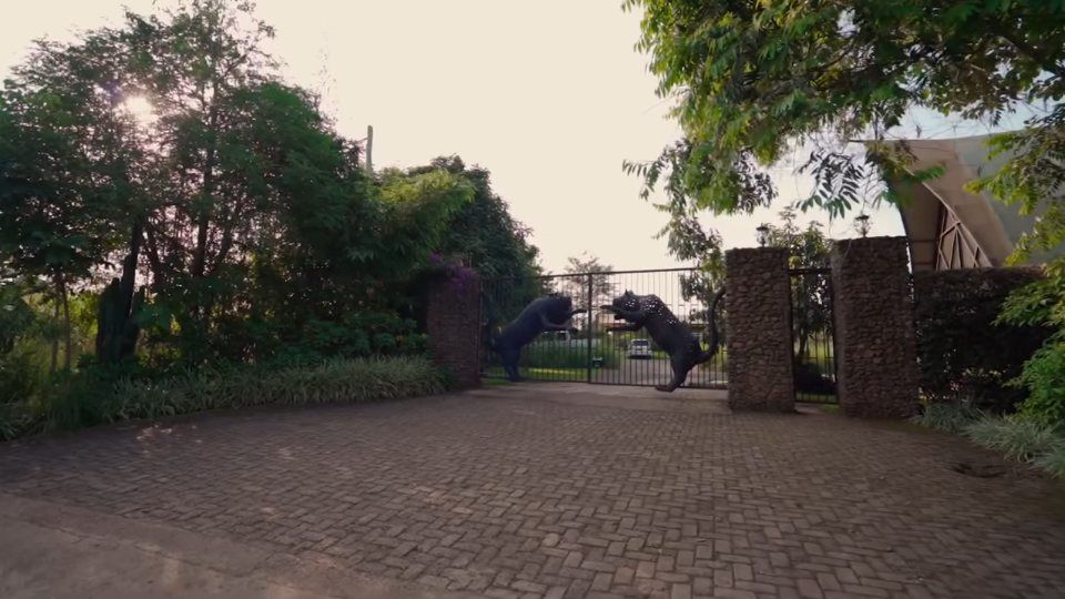 Gates and driveway as the day closes.