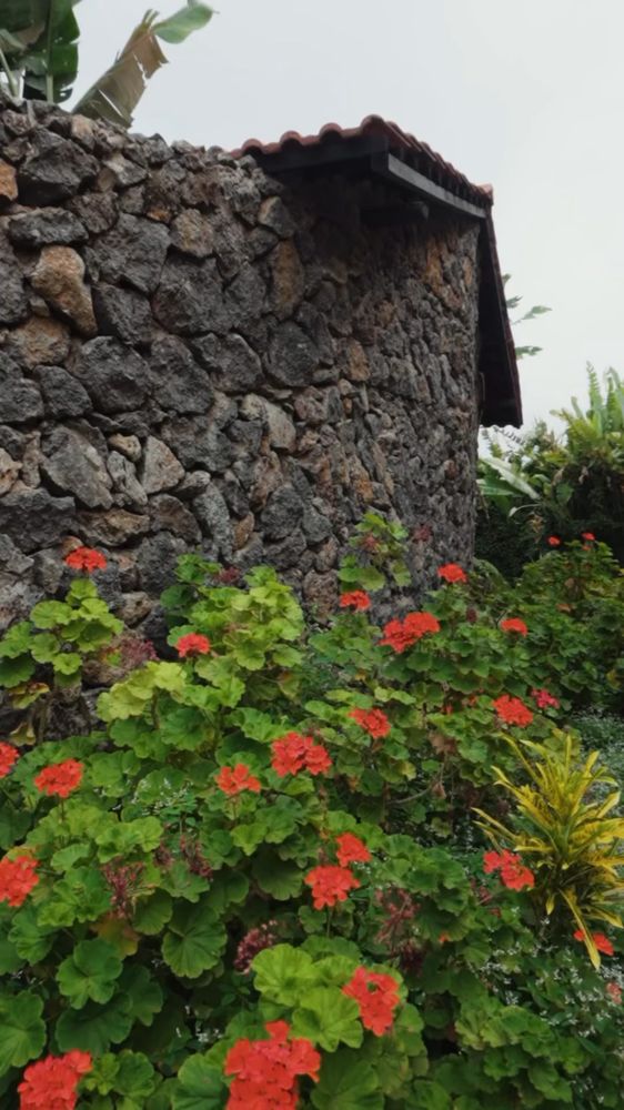 Volcanic stone walls against planted colour.