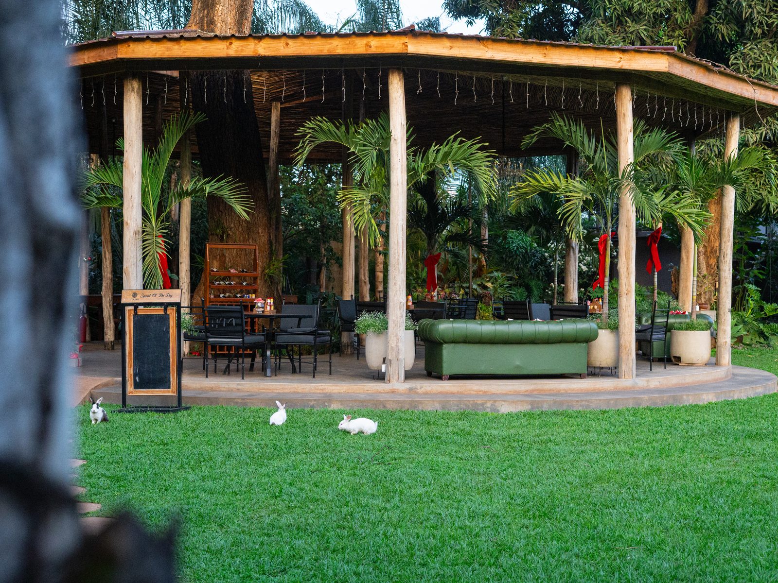 Garden pavilion and open lawn